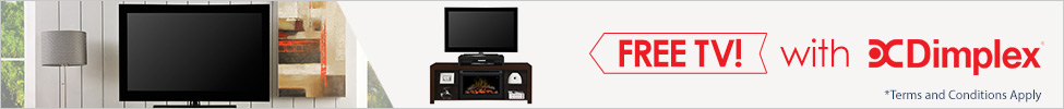 Dimplex Heater + Free TV!