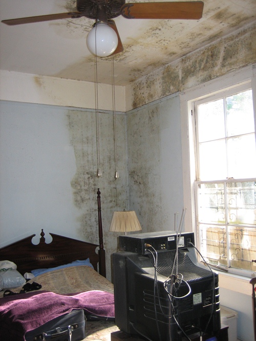 Mold on wall and ceiling source: https://commons.wikimedia.org/wiki/File:DublinMold.jpg