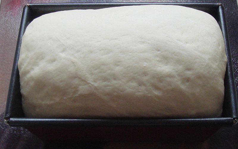 800px-Risen_bread_dough_in_tin