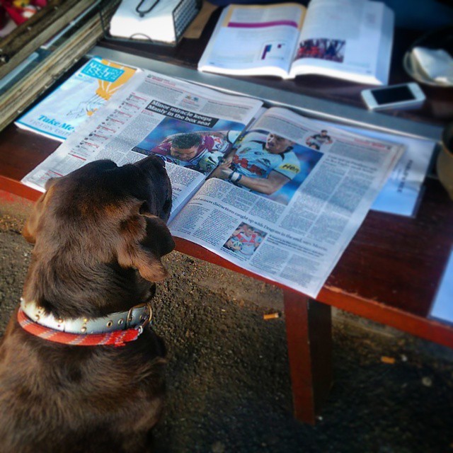 Just Reading The News...