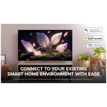 TCL 55 Inch 4K UHD Roku Smart TV 55RP630 hero image