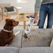 Shark Cordless Detect Pro with Auto Empty System IW3611 hero image