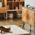 Petcube Play 2 Interactive Wi-Fi Pet Camera 7271 image NaN
