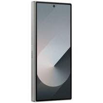 Samsung Galaxy Z Fold6 1TB 5G Silver SM-F956BZSFATS hero image