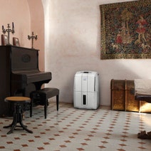 Delonghi DDS30COMBI 30L AriaDry Compact Dehumidifier hero image