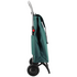 Rolser I-Max MF 2 Wheel Folding Trolley Green R-IMX304-1076 image NaN