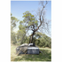 Sherman Full Body Hug King Size Mattress P84026K image NaN