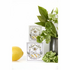 Collette Dinnigan Candle Limoni di Sicilia Pack CLDSPK image NaN