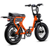 Flight Risk FR303 E-Bike Orange FR-303ORANGE image NaN