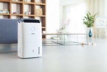 Philips DE5205-70 Series 5000 2-in-1 Air Dehumidifier hero image