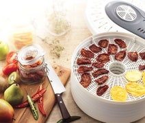 Sunbeam DT5600 Food Dehydrator hero image