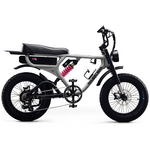 Flight Risk FR555 E-Bike Silver ATV08XSSL hero image