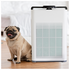 MyGenie Max Filter Air Purifier 10003666 image NaN