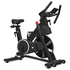 Lifespan Fitness SM-420 Spin Bike with Automatic Magnetic Resistance LFEX-SM420 image NaN