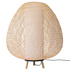 Ay Illuminate Twiggy Egg Floor Lamp - Natural 750-101-03-FL image NaN