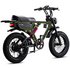Flight Risk FR555 E-Bike Olive FR-555OLIVE image NaN