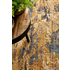 Rug Culture Dreamscape Extra Large Rust Rug 330X240CM - DRM-860-RUST-330X240 image NaN