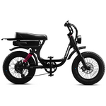 Flight Risk FR333 E-Bike Black FR-333BLACK hero image