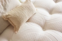 A.H. Beard Origins - Planet QII Plush Single Mattress - SILF13MS hero image