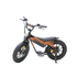 Flight Risk FR101 E-Bike Black FR-101BLACK image NaN