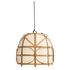 Ay Illuminate Bagobo R Pendant Light - Small 981-101-05 image NaN