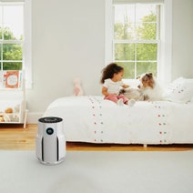 Shark NeverChange5 Air Purifier HP150 hero image