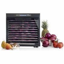 Excalibur Stainless Steel Ten Tray Food Dehydrator EXC10EL hero image