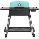 Everdure Force 2 Burner Hooded Gas BBQ Mint FORCEM hero image
