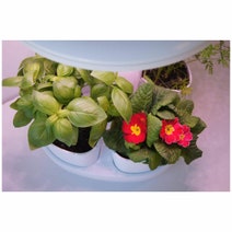Urbotanica Urbipod Indoor Garden FP-URB-GARDEN hero image
