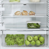 Fisher & Paykel E521TLT5 517L Top Mount Fridge image NaN