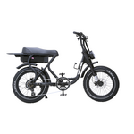 Flight Risk FR303 E-Bike Black FR-303BLACK hero image