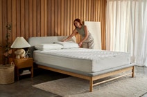 Koala Calm As Mattress Queen 101-0242 hero image