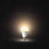 Philips Hue White Bulb A60 E27 - HUEWHTBULB-E27 image NaN