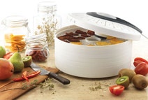 Sunbeam DT5600 Food Dehydrator hero image