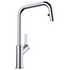 Blanco High Arch Pull Out Spray Mixer Tap JURENAS image NaN