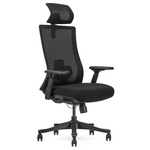 Lifespan Fitness DM9 Ergonomic Mesh High Back Office Chair LFOC-DM9BK-1 hero image