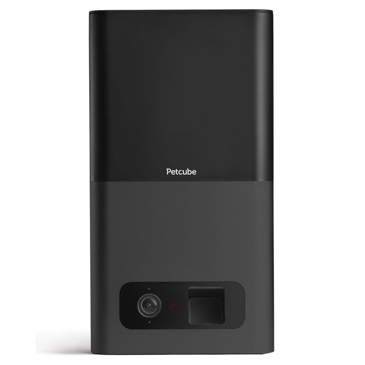 petcube best buy