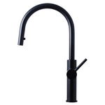 Titan Essentials Lite Gooseneck Pull Out  Kitchen Mixer Tap - Matte Black TTBSXP hero image