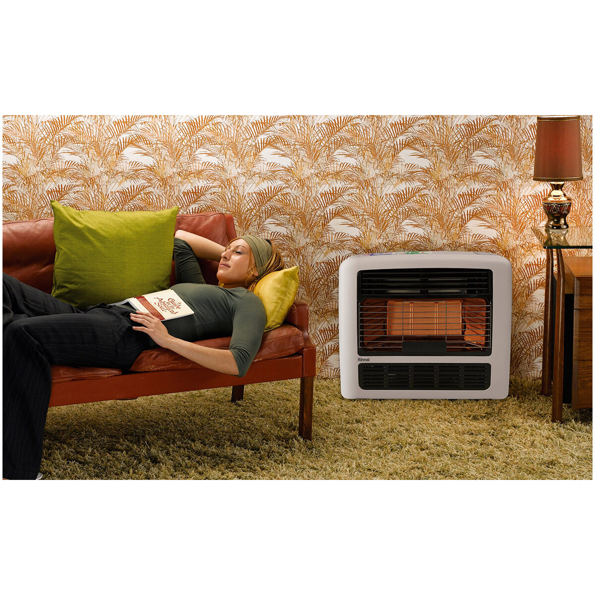 Rinnai Granada 252 Heater Natural Gas Silver 252SN2 hero image