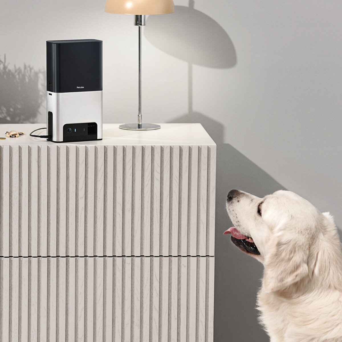Petcube Bites 2 Interactive Wi-Fi Pet Camera and Treat Dispenser 7264 hero image