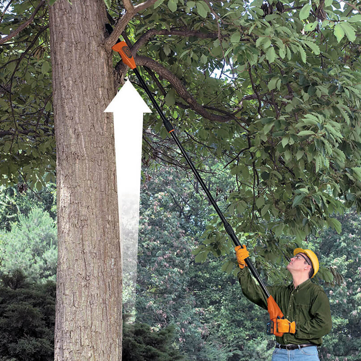 Black and shop decker tree trimmer