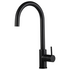 Rogerseller Tonic Sink Mixer Tap - Matte Black 3606016111 image NaN