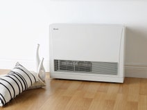 Rinnai EnergySaver Flued LPG Heater K559FTL hero image
