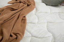 Sealy Posturepedic Laynee Flex Plush Long Single Mattress - 735609 hero image