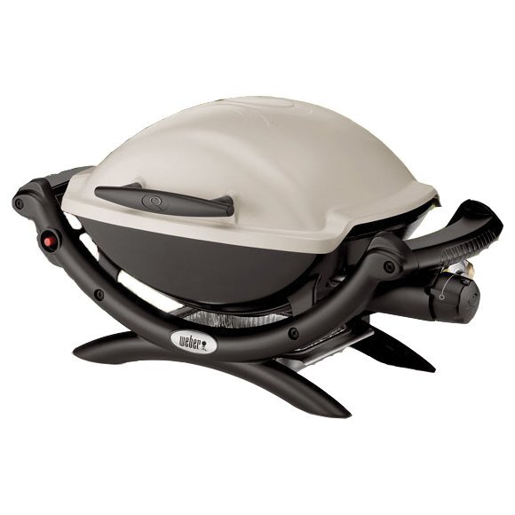 Weber Q100 () Weber Q100