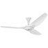 Big Ass Fans 1.5m Haiku Outdoor in White with Low Profile Mount with Light FR150A-S0F12-2 image NaN