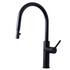 Titan Essentials Lite Gooseneck Pull Out  Kitchen Mixer Tap - Matte Black TTBSXP image NaN