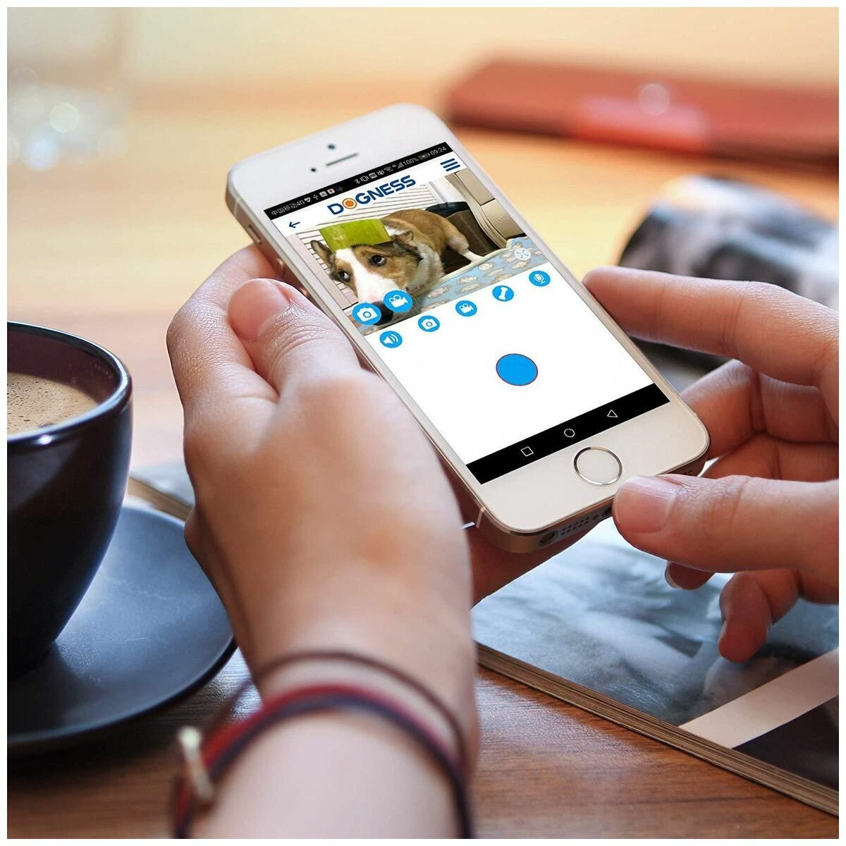 dogness smart cam feeder