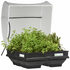 Vegepod Medium Raised Garden Bed with VegeCover C0005 image NaN