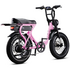 Flight Risk FR303 E-Bike Pink FR-303PINK image NaN